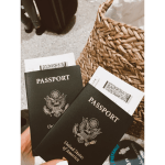 Visa Services